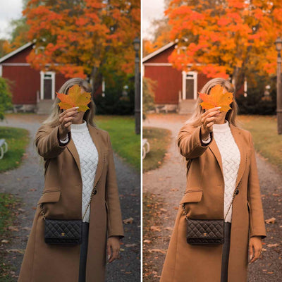 Kuvien muokkausta yhdellä klikkauksella Lightroom sovelluksessa käyttäen Autumn preset filtteriämme Loov.fi